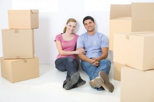 Professional man and van helping with furniture transport