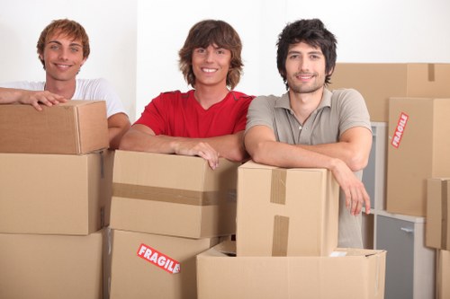 Professional Stjohnswood moving van assisting with a small flat move
